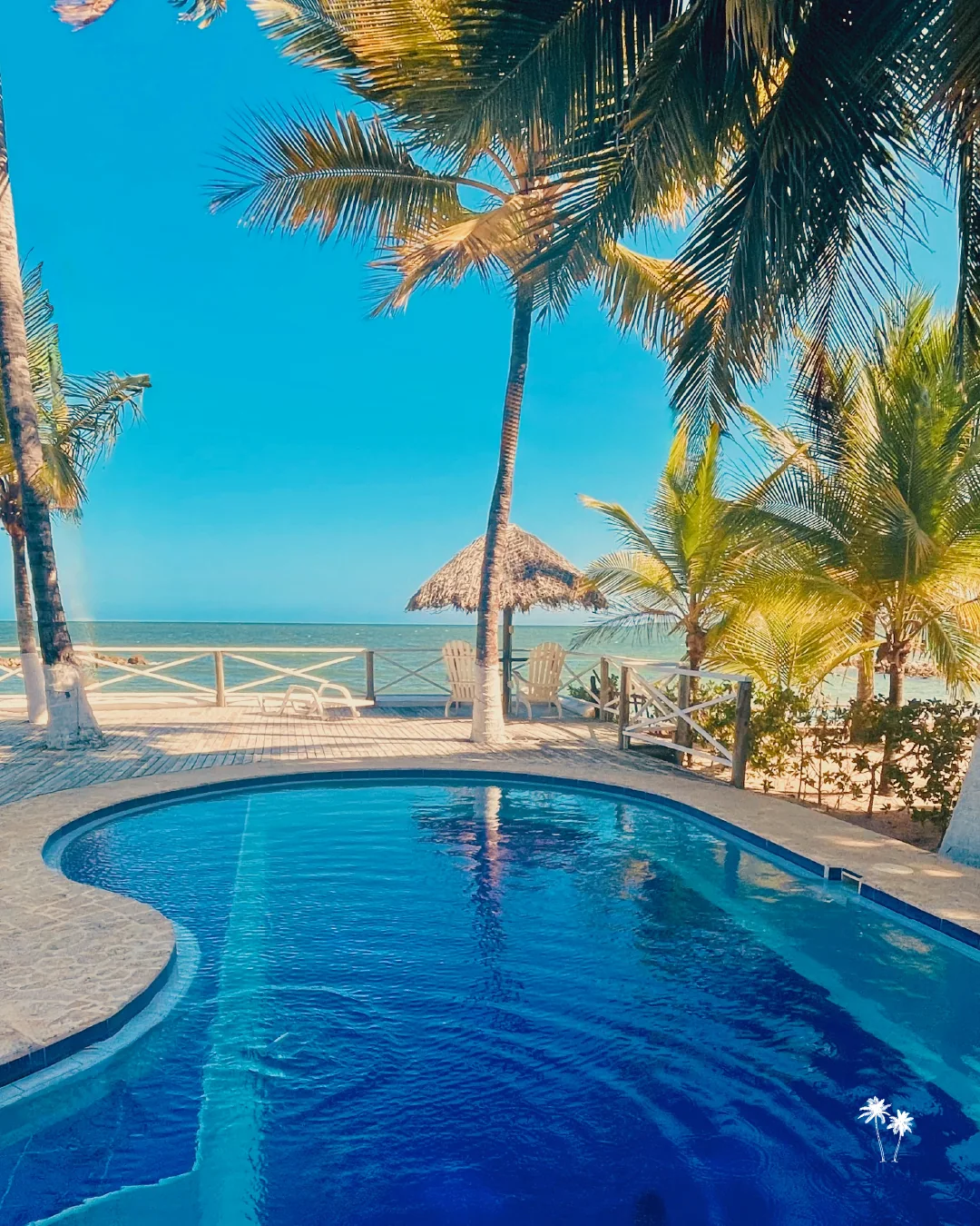 Piscina de Calipso entre palmeras frente al mar